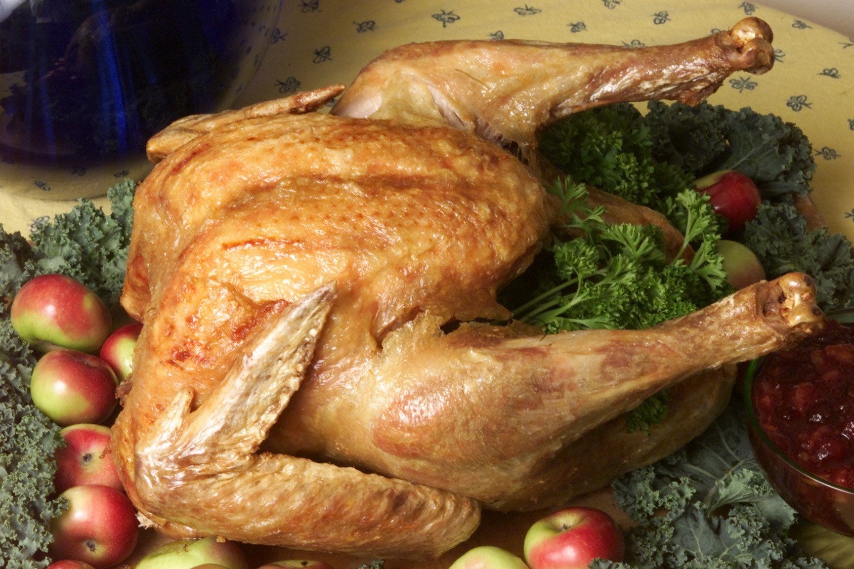 Pictures Of A Talking Turkey Thanksgiving Pictures Of A Talking Turkey Thanksgiving